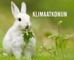 klimaatkonijn-2